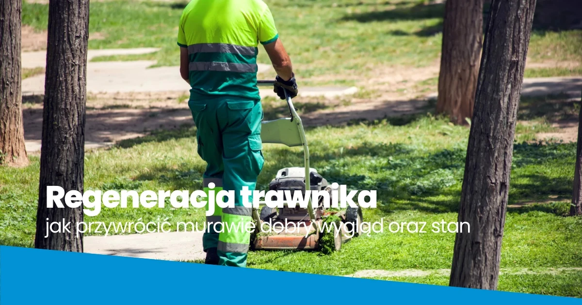Regeneracja trawników Jak przywrócić murawie wygląd i dobrą kondycję? Regeneracja trawników Jak przywrócić murawie wygląd i dobrą kondycję?
