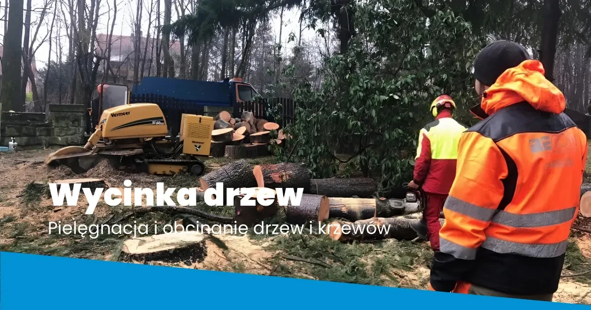 Wycinka drzew oraz pielęgnacja Wycinka drzew oraz pielęgnacja