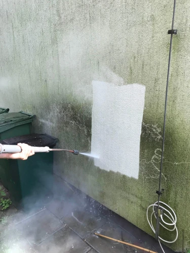 Sprzątanie i czyszczenie - Renova Bielsko Biała