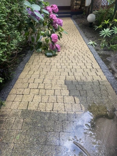 Sprzątanie i czyszczenie - Renova Bielsko Biała