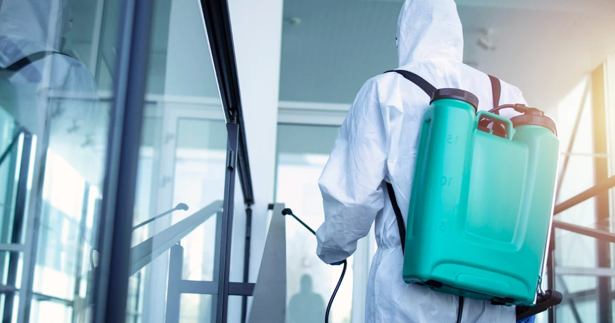 Dezynfekcja Pszczyna