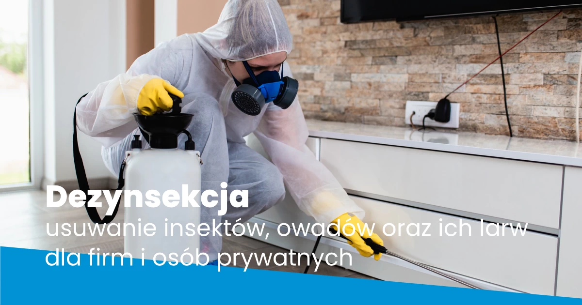 Dezynsekcja - usuwanie insektów, owadów oraz ich larw