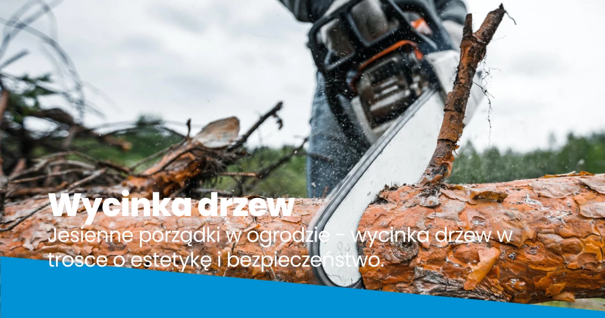 Wycinka drzew Bielsko-Biała