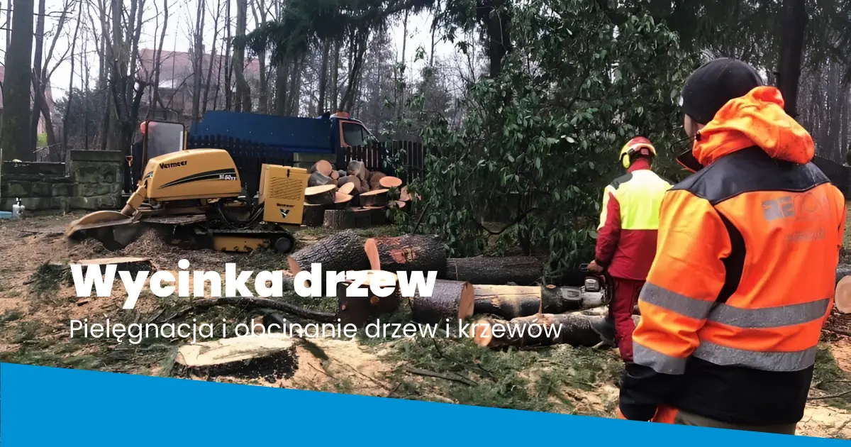 Wycinka drzew Bielsko-Biała